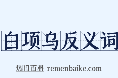 白项乌反义词是什么意思的图片